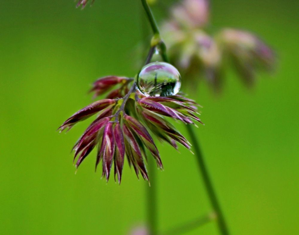 Photograph by Юлия Иванова