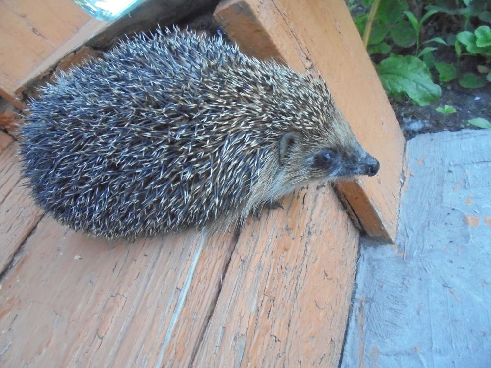 Photograph by Лилия Исхакова