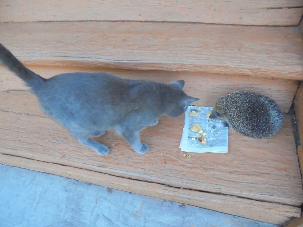 Photograph by Лилия Исхакова