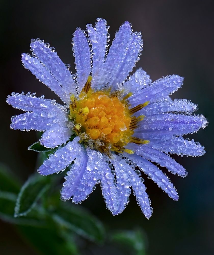 Photograph by Наталья Соколова