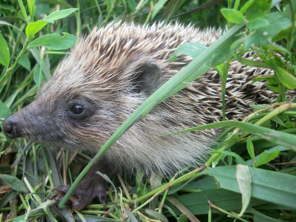 Photograph by Лилия Исхакова