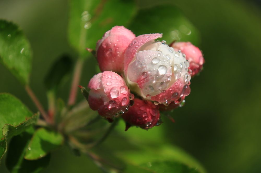 Photograph by Сергей Кульков