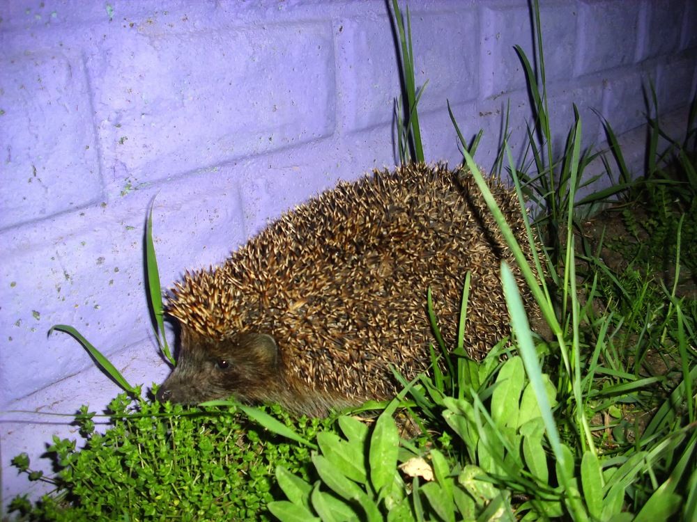 Photograph by Igors Rostikovs