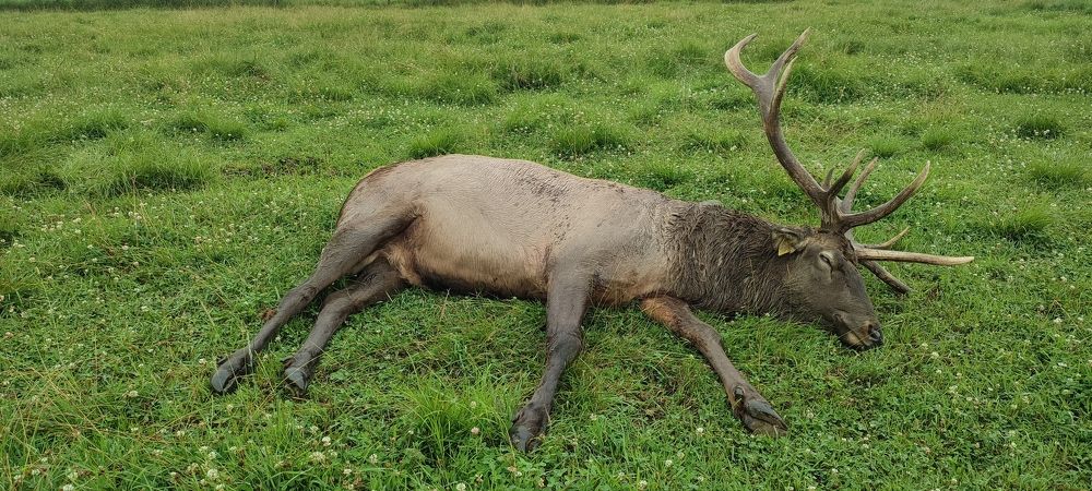 Photograph by Людмила Воропаева