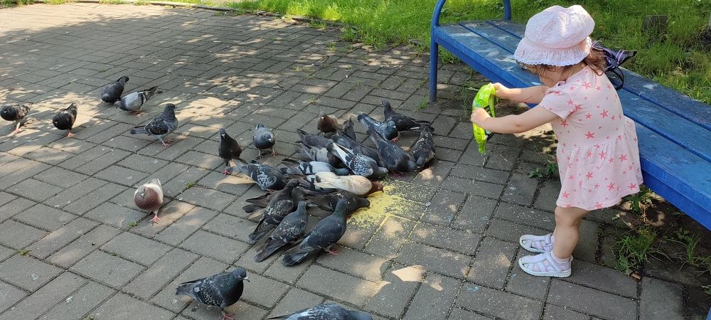 Photograph by Людмила Воропаева