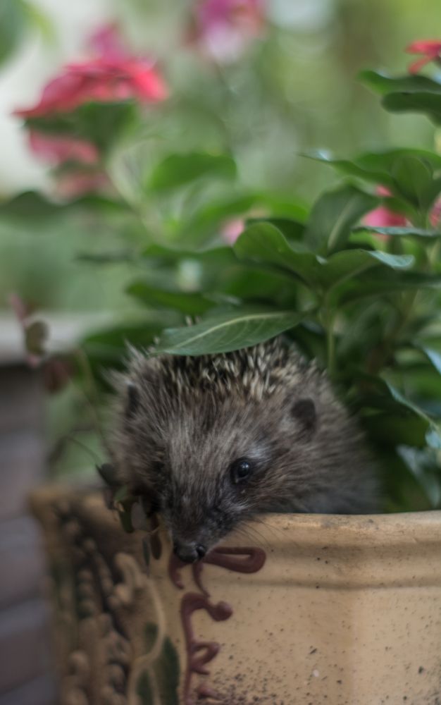 Photograph by Елена Плотникова