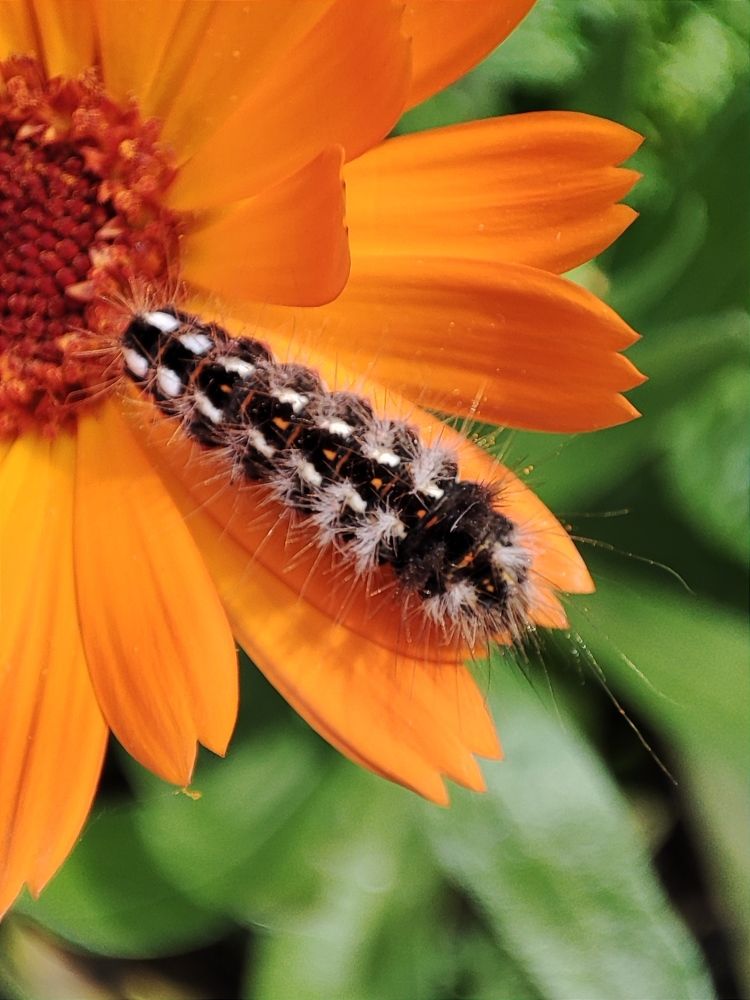 Photograph by Galina Novichkova