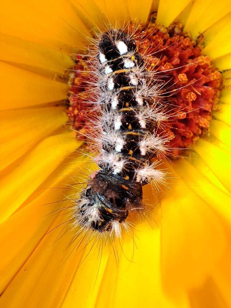 Photograph by Galina Novichkova