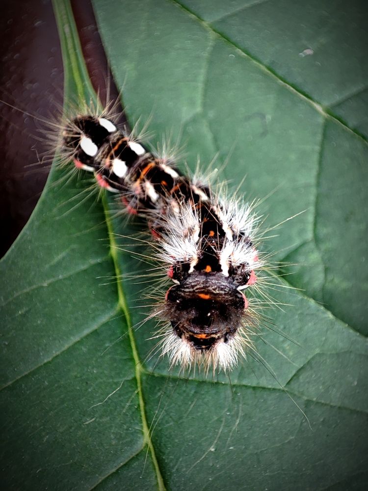 Photograph by Galina Novichkova