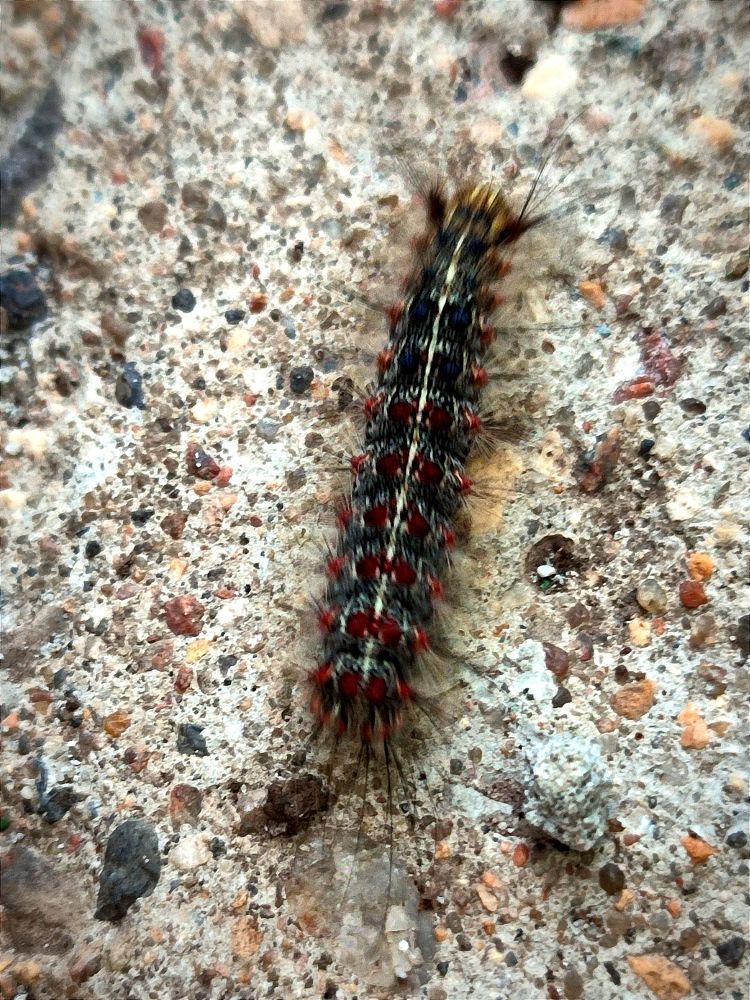 Photograph by Galina Novichkova