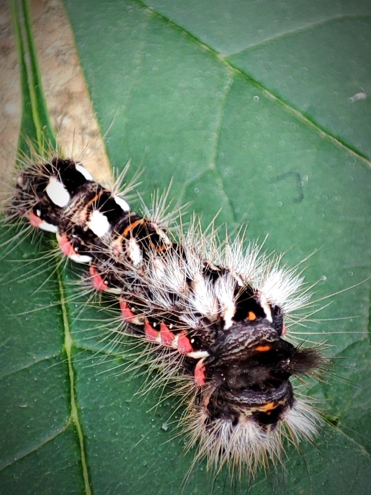 Photograph by Galina Novichkova