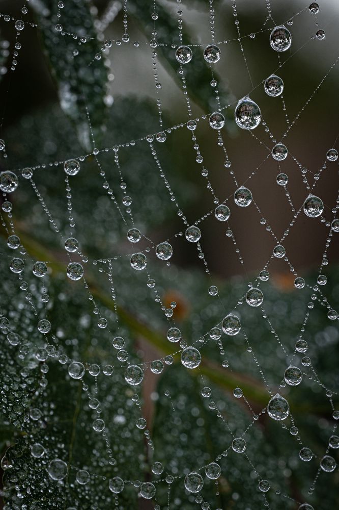 Photograph by Ольга Шиляева