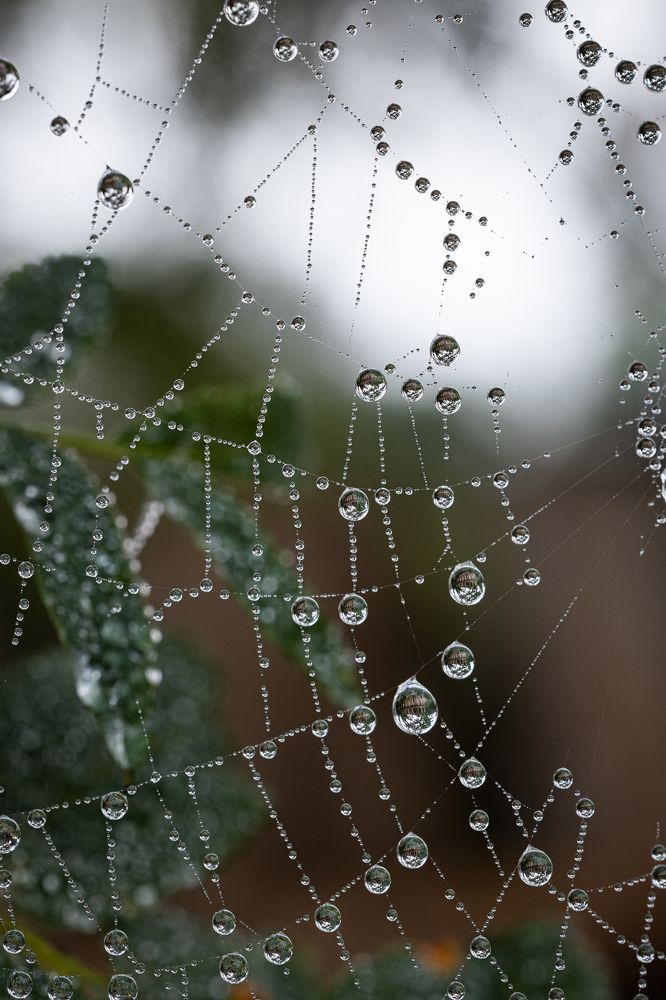 Photograph by Ольга Шиляева