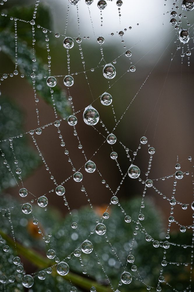 Photograph by Ольга Шиляева