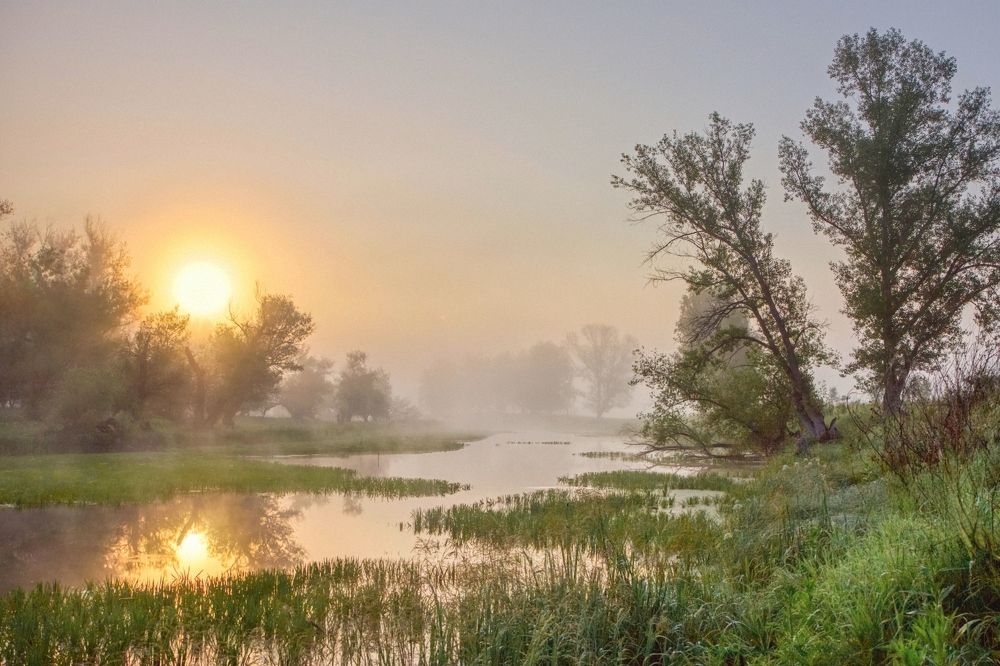 Photograph by Юрий Спасенников