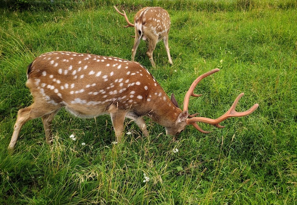 Фотография автора Татьяна Егорова