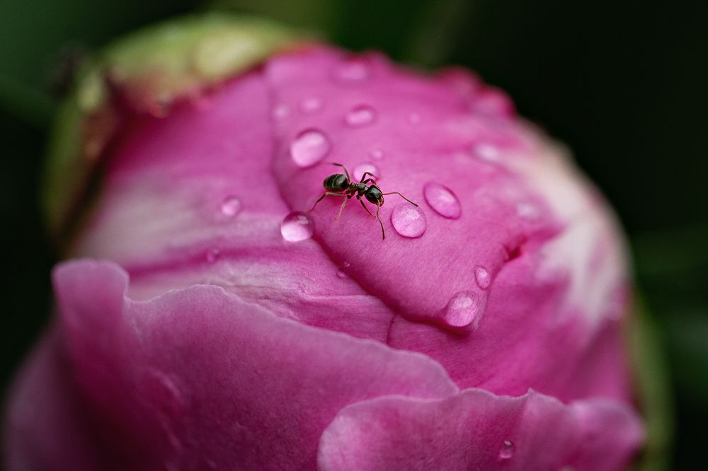 Photograph by Наталья Матюхина