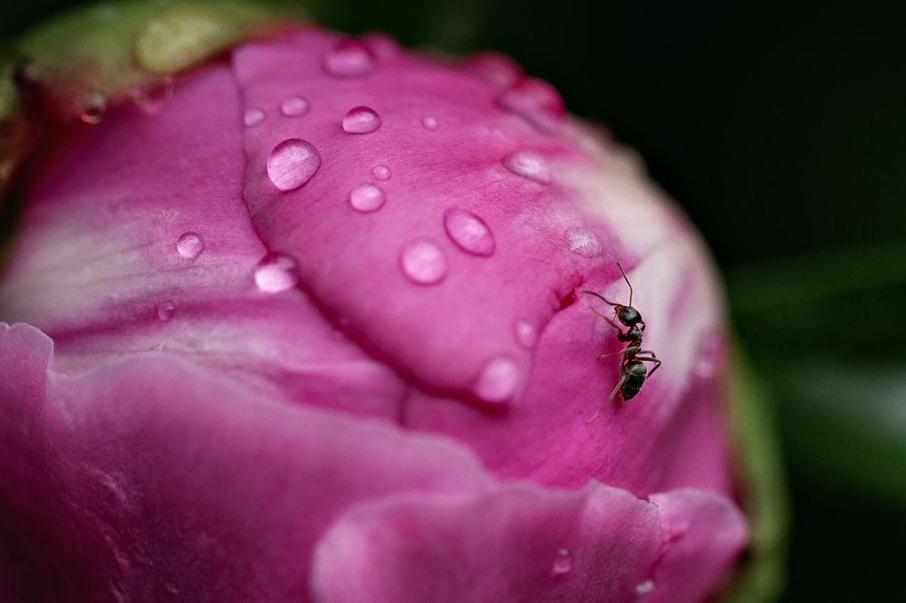 Photograph by Наталья Матюхина