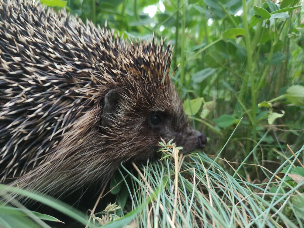 Photograph by Дина Горбачёва