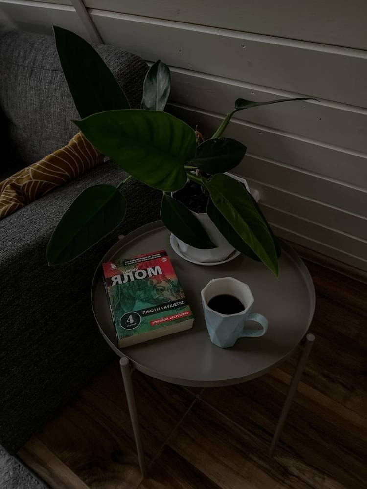 Photograph by Виктория Дворецкая