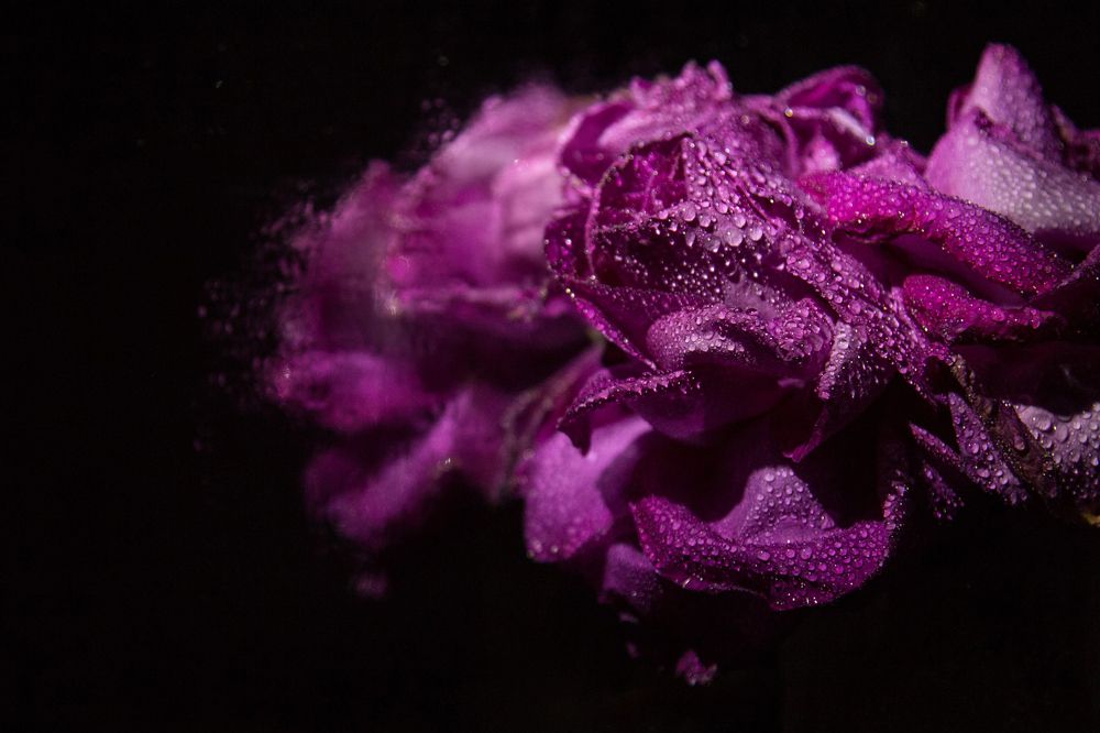 Photograph by Анастасия Павлова