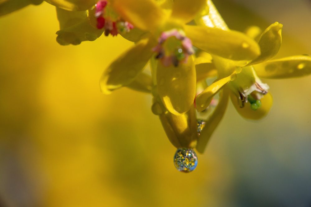 Photograph by Римма Волченко