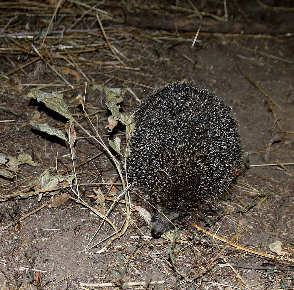 Photograph by Юрий Варюхин