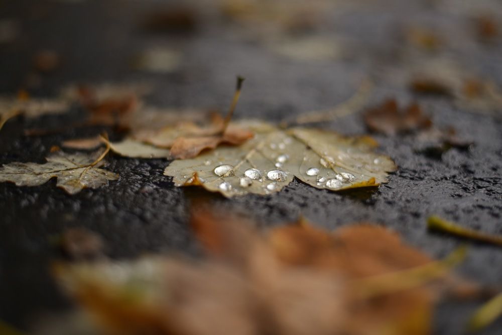 Photograph by Ljudmilla Pavljutsenkova