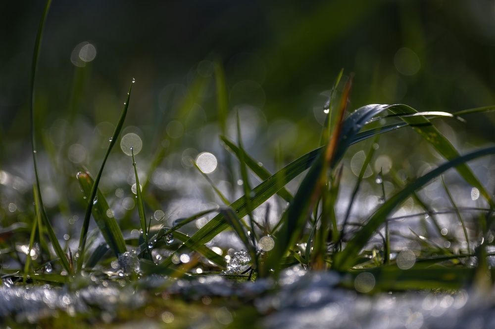 Photograph by Хабаров Сергей