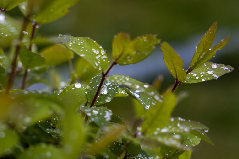 Photograph by Хабаров Сергей