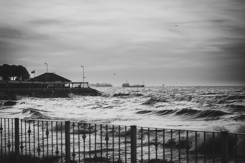 Фотография автора Skaiste Dalmantiene