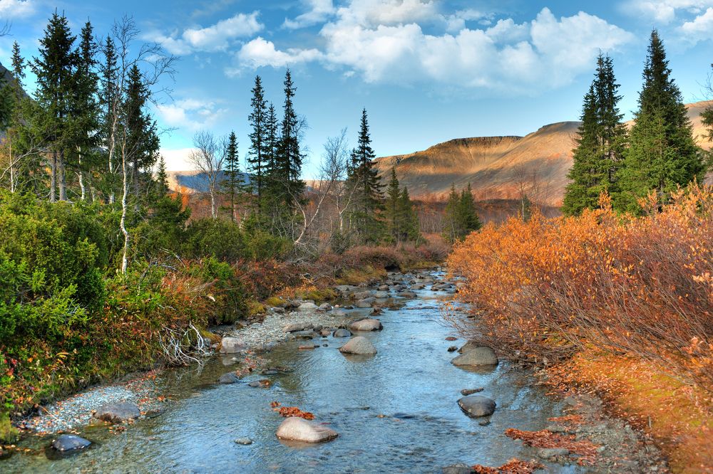 Photograph by ARTEM KORZHUKOV