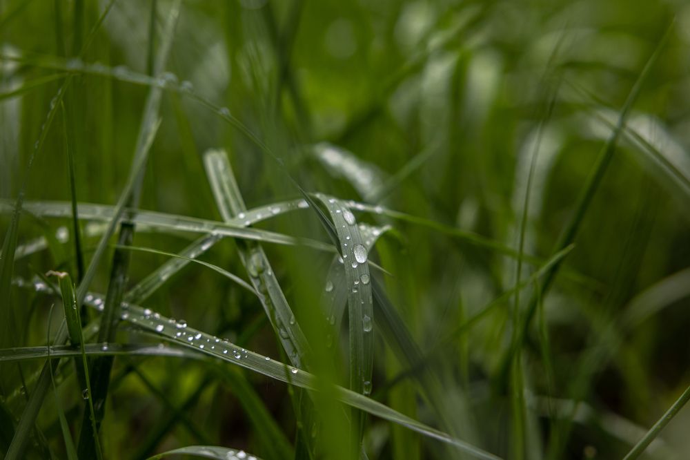 Photograph by Хабаров Сергей