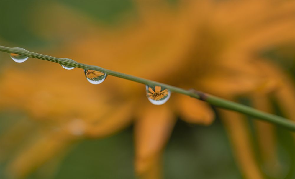Photograph by ПУЗЕНКО ДМИТРИЙ