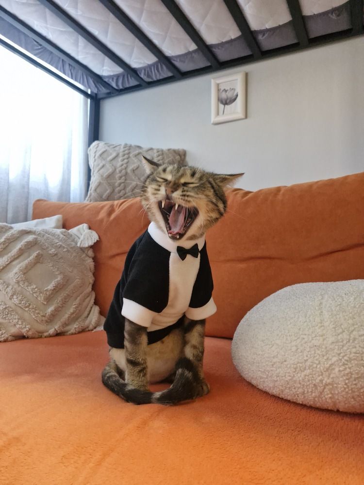 Photograph by Игорь Чечин