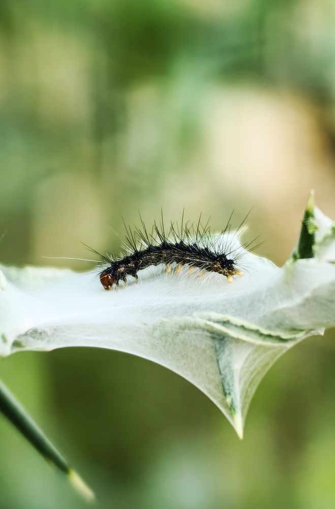 Photograph by Кристина Рыбина