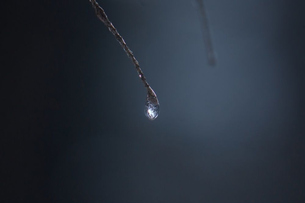 Photograph by Хабаров Сергей