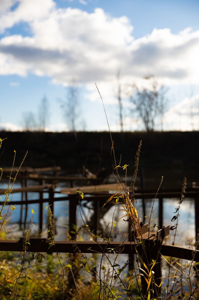 Photograph by Елена Струнец