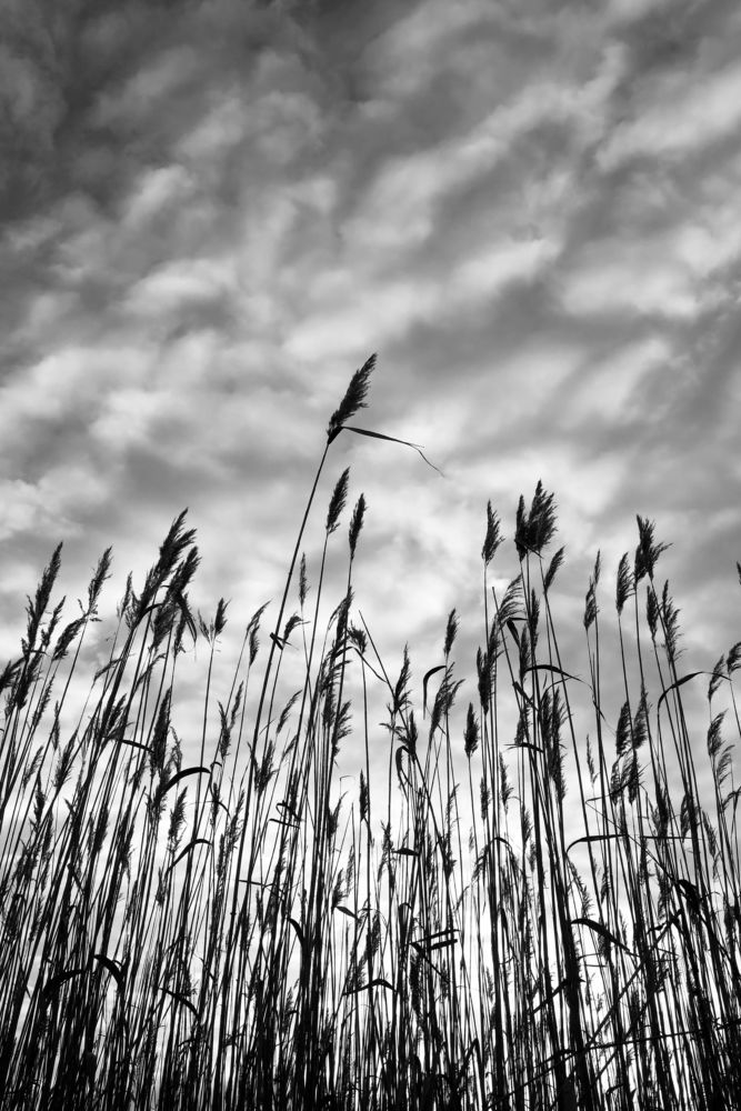 Фотография автора Евгений