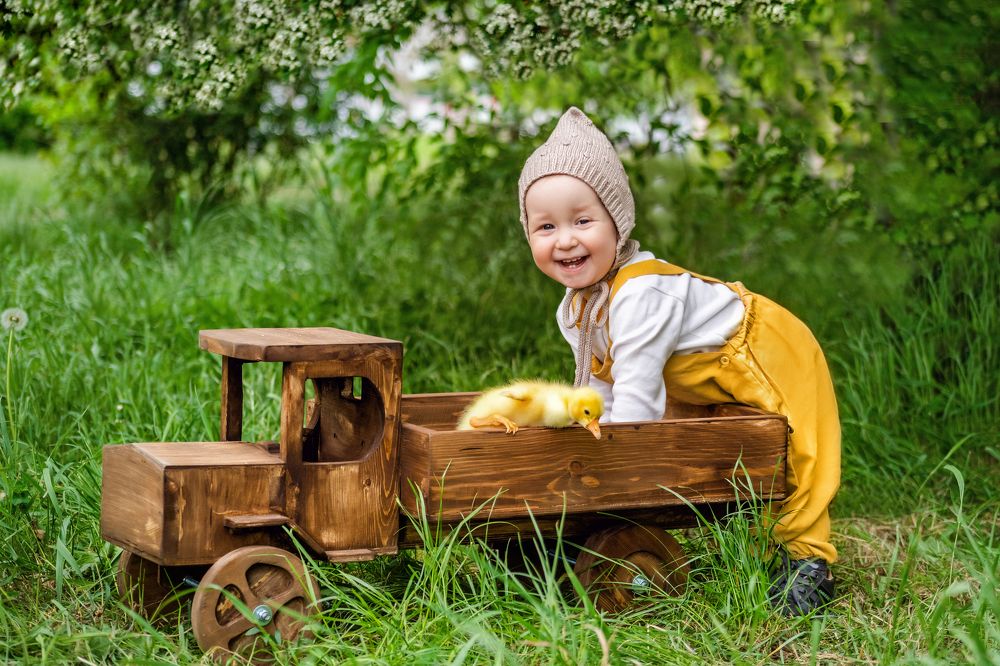 Фотография автора Ольга Шатова