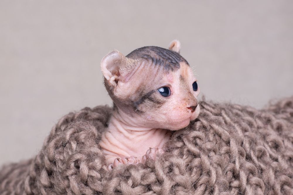 Photograph by наталья залогина