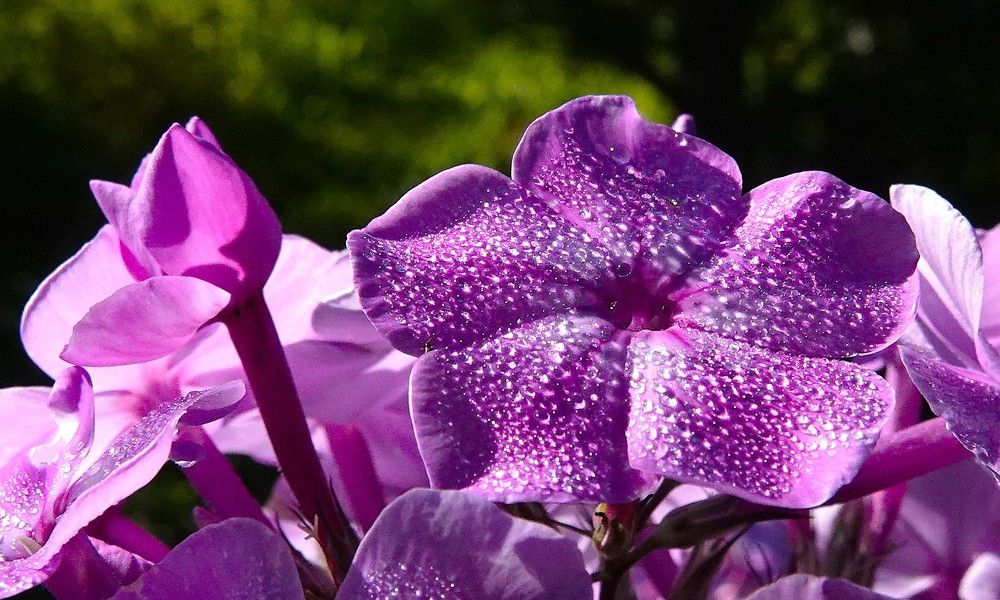 Photograph by Zakharov Matvey