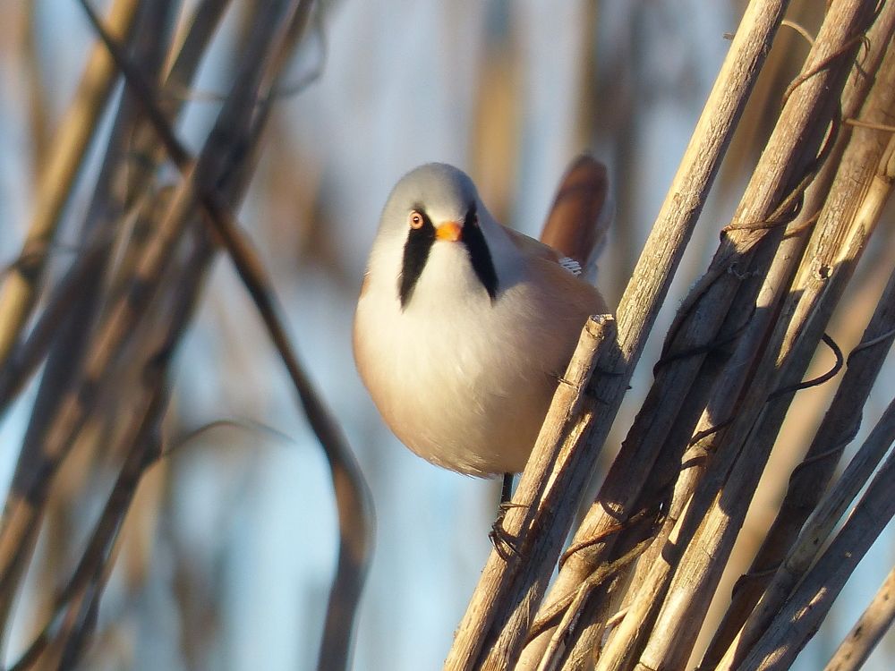 Photograph by Георгий Салюков