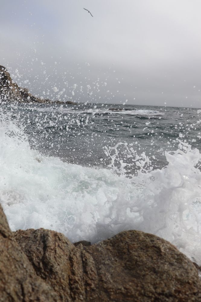 Photograph by Елена Квинт