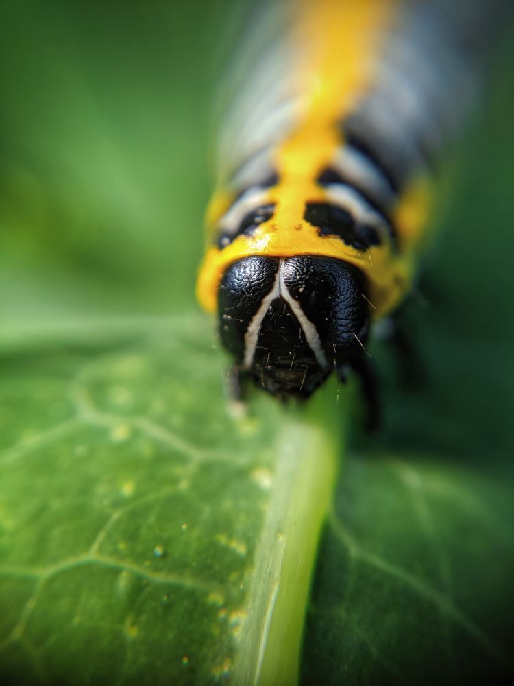Photograph by Дудников Александр