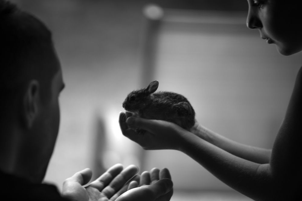 Фотография автора Татьяна Охапкина