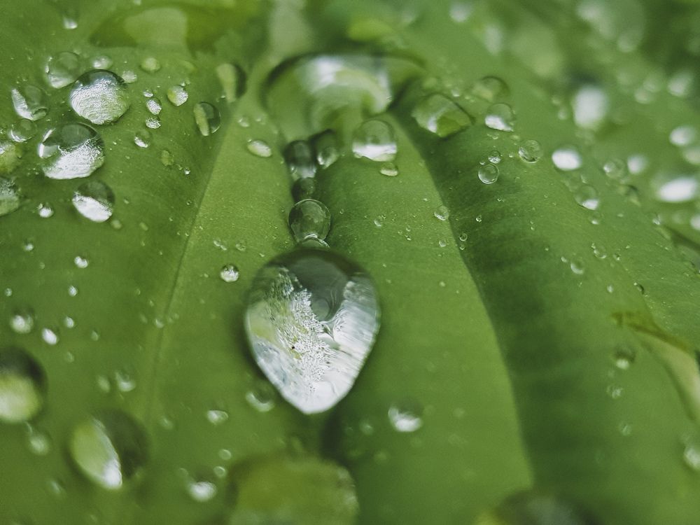 Фотография автора Джаф