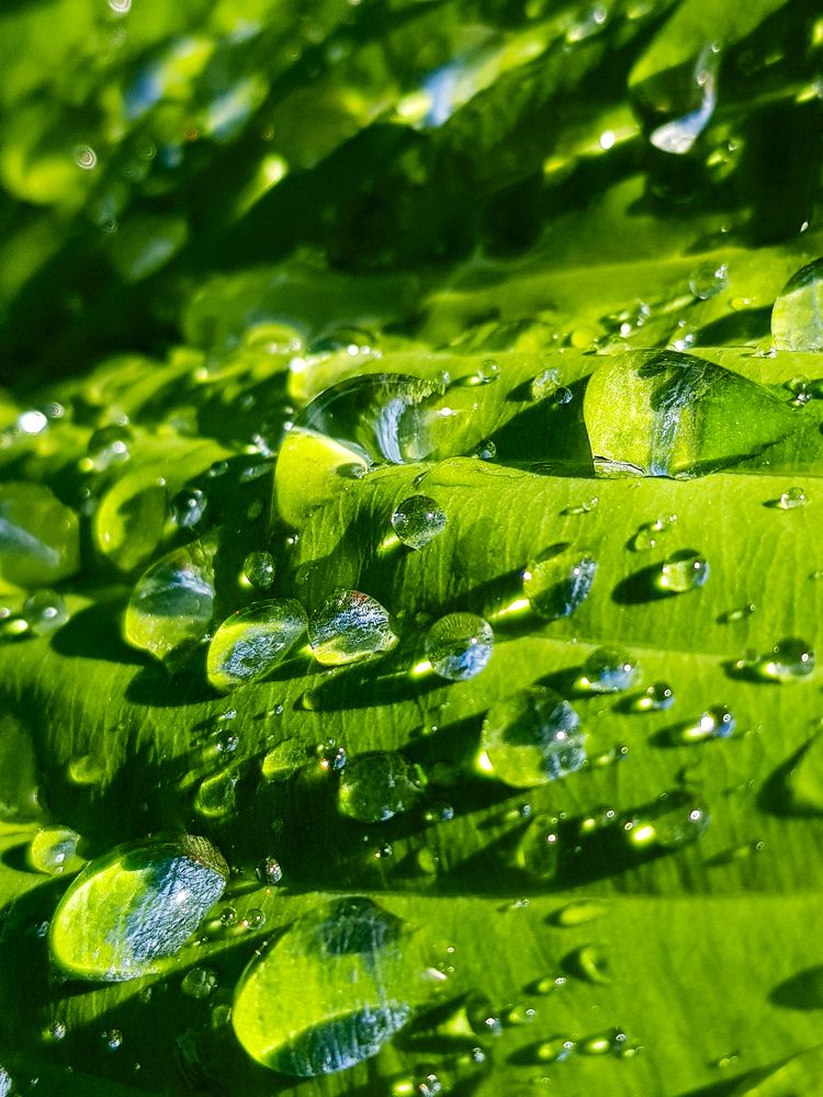 Фотография автора Джаф