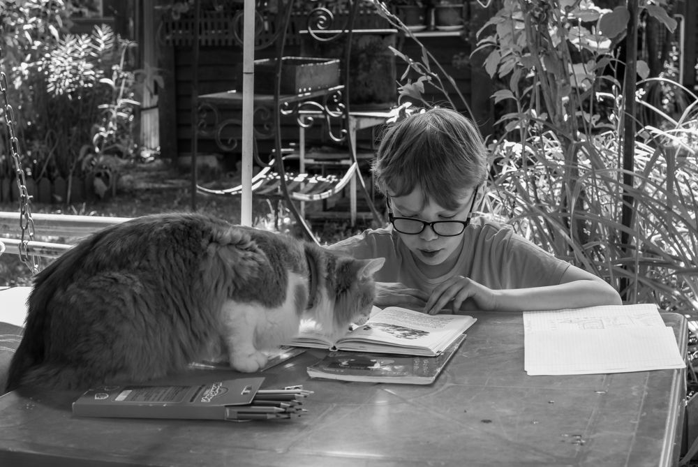 Photograph by Наталья Преснякова