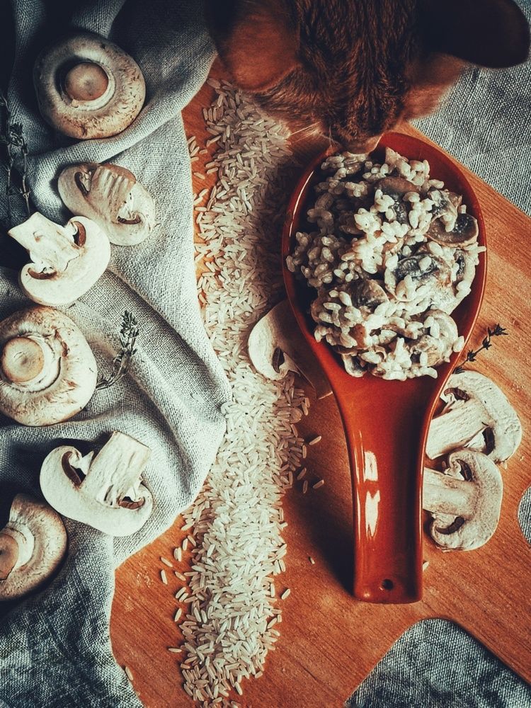 Photograph by Nastassia Krychautsova